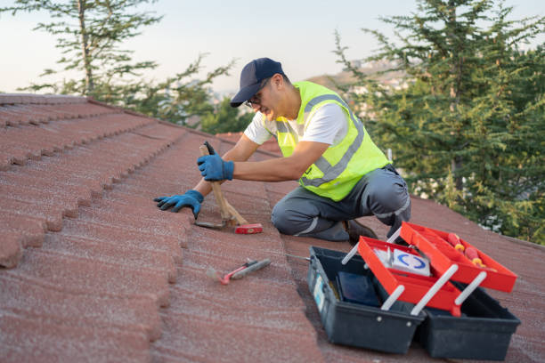 Best Metal Roofing Contractor  in Pleasant Prairie, WI